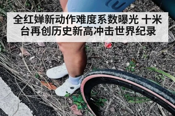 全红婵新动作难度系数曝光 十米台再创历史新高冲击世界纪录