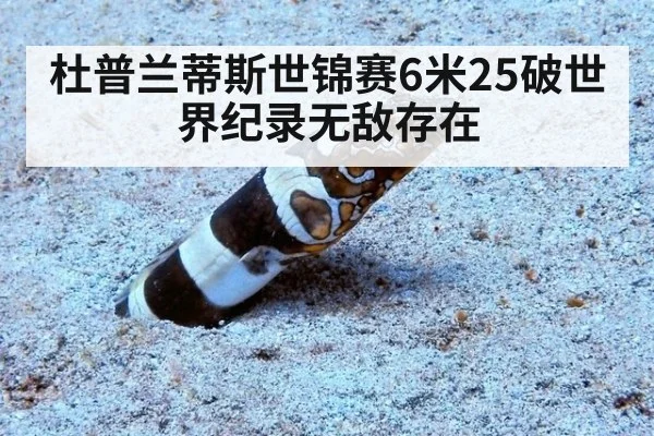 杜普兰蒂斯世锦赛6米25破世界纪录无敌存在